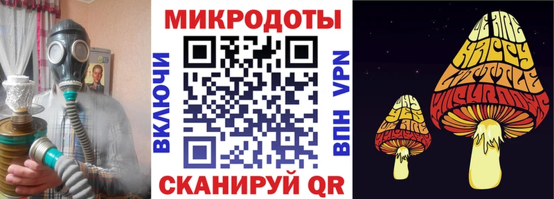 Галлюциногенные грибы Psilocybe Болотное