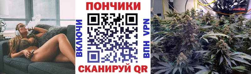 Шишки марихуана семена  Купить где  Болотное 